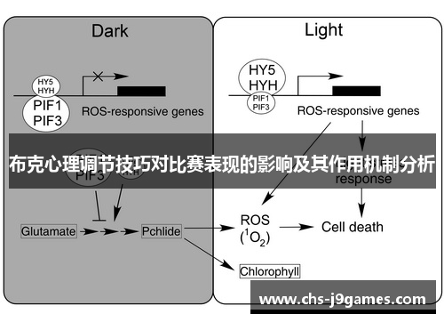 布克心理调节技巧对比赛表现的影响及其作用机制分析 布克心理调节技巧对比赛表现的影响及其作用机制分析