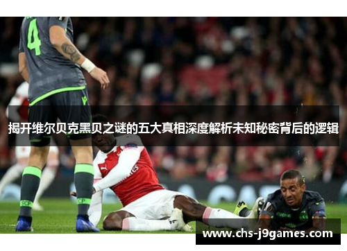 揭开维尔贝克黑贝之谜的五大真相深度解析未知秘密背后的逻辑